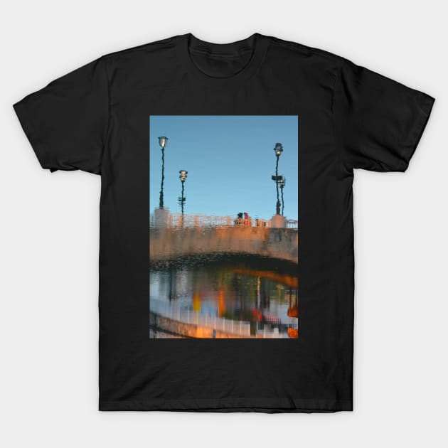 Upside Down in Mexico T-Shirt by Imagery